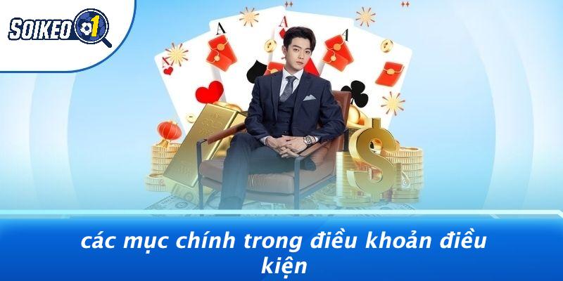 Điều Khoản Điều Kiện